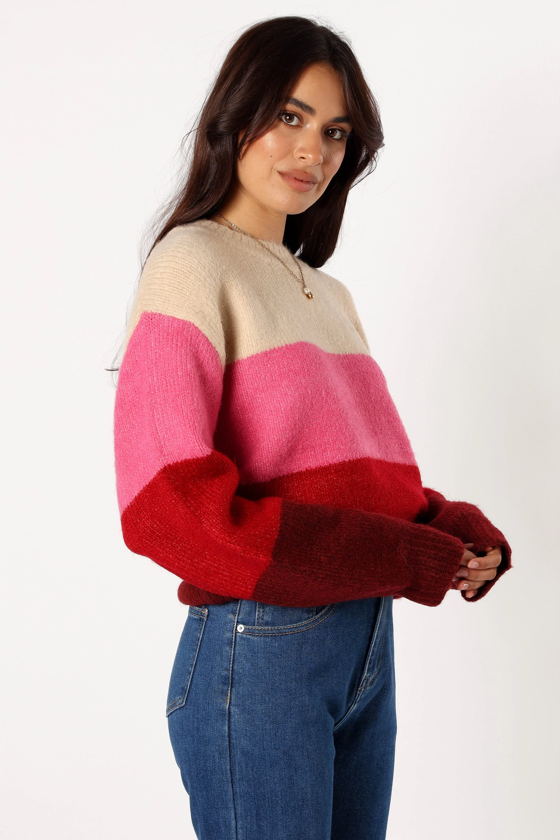 Giovanna Crewneck Multi Stripe Knit Sweater - Berry - Image 7
