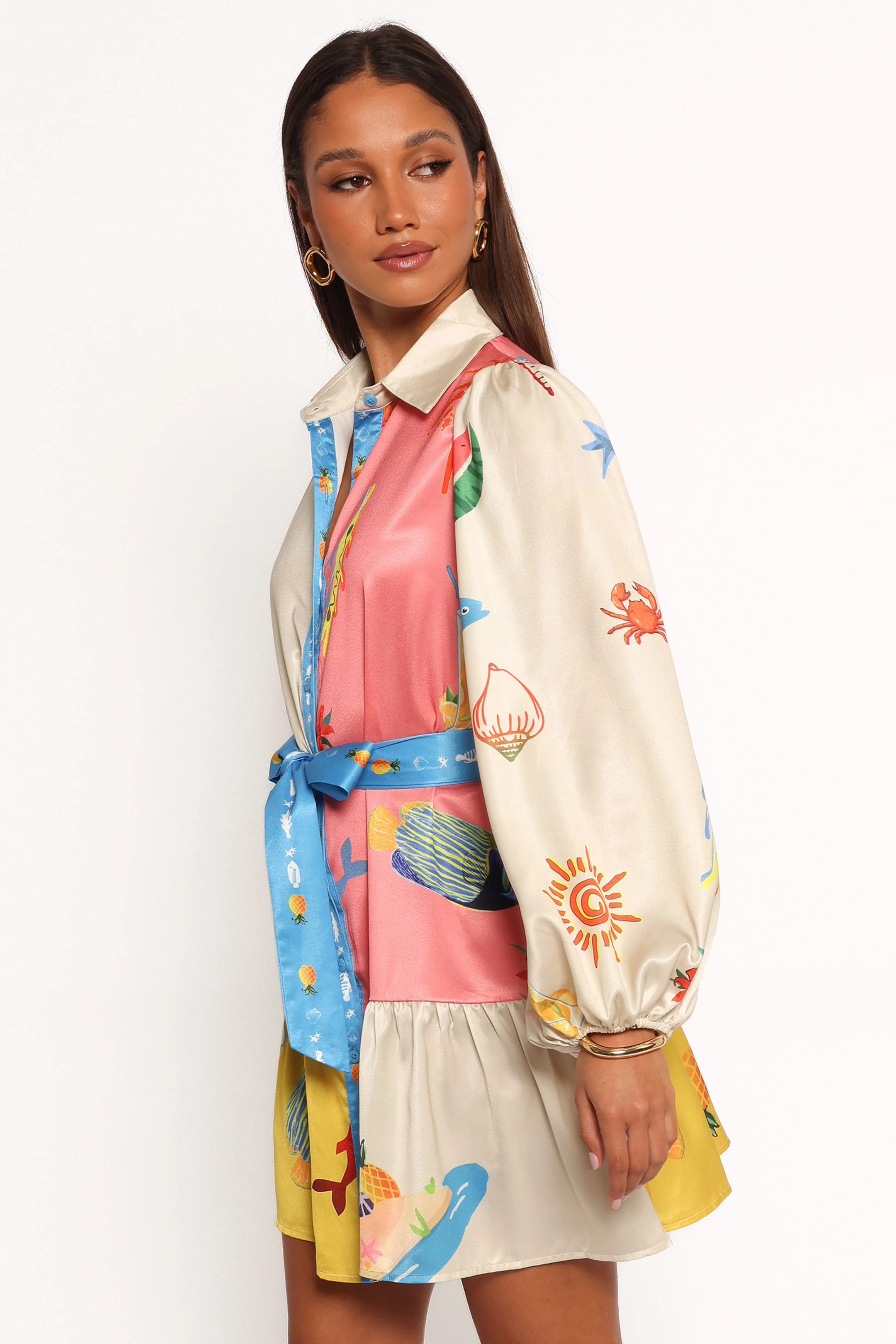 Ralph Mini Dress - Multi - Image 3